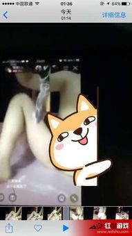 女主播琪琪玩黄鳝,揭秘网络直播的暗流涌动