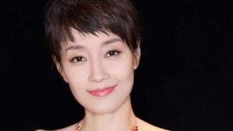 马伊个人资料,影视界璀璨明星的辉煌历程与人生感悟